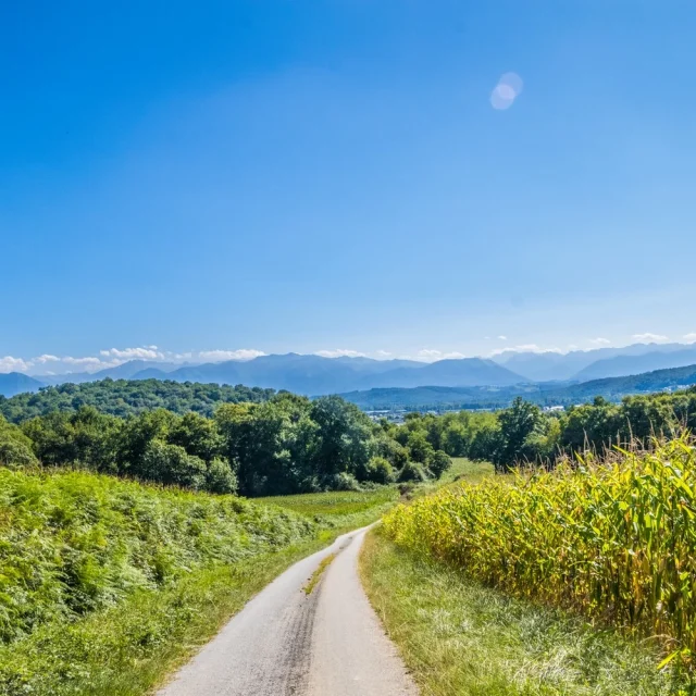 Balades et randonnées à Pau Béarn Pyrénées