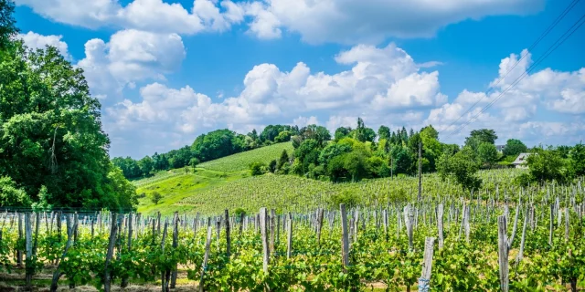 Balades et randonnées à Pau Béarn Pyrénées