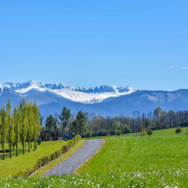 Balades et randonnées à Pau Béarn Pyrénées