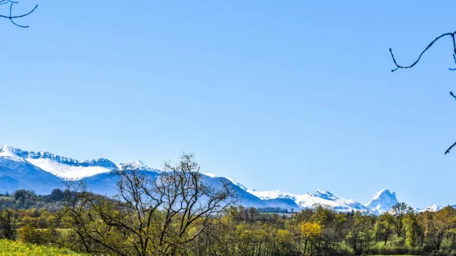 Randonnees Pau Bearn Pyrenees 12 Pau Pyrenees Tourisme La