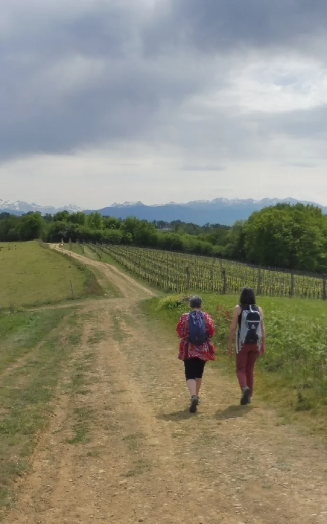 Randonnée pédestre à Pau Pyrénées