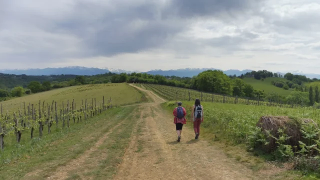 Randonnée pédestre à Pau Pyrénées