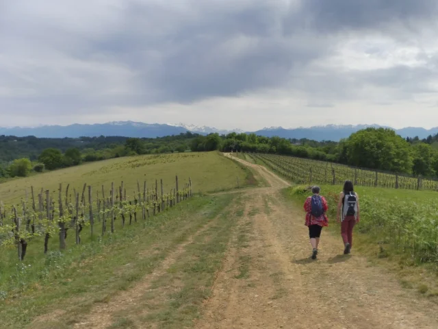 Randonnée pédestre à Pau Pyrénées