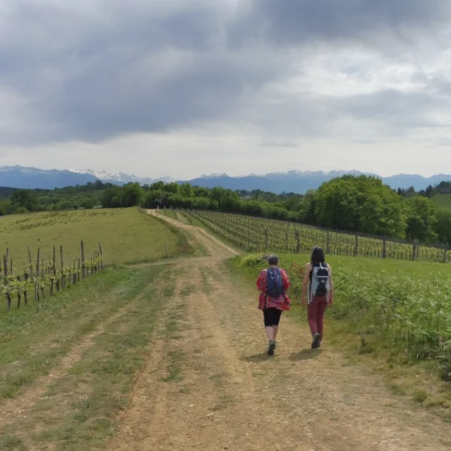 Randonnée pédestre à Pau Pyrénées