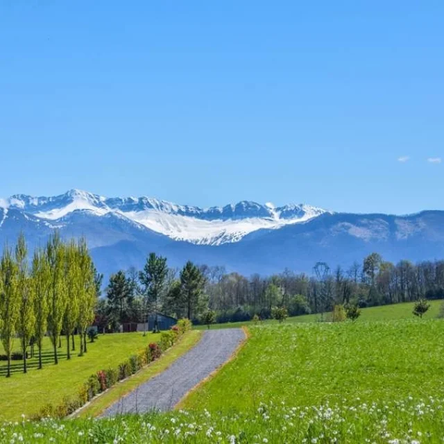 Les randos nature à Pau Pyrénées