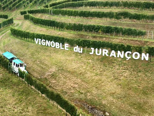 Cave coopérative de Jurançon à Gan