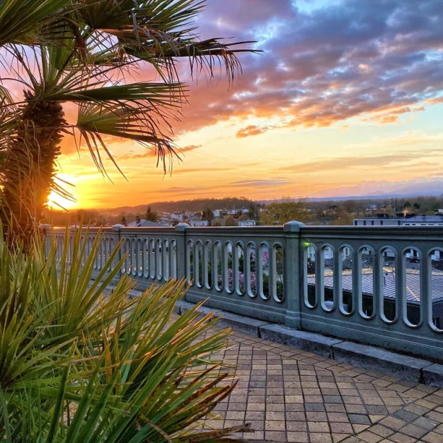 Lever de soleil sur le boulevard des Pyrénées - Pau