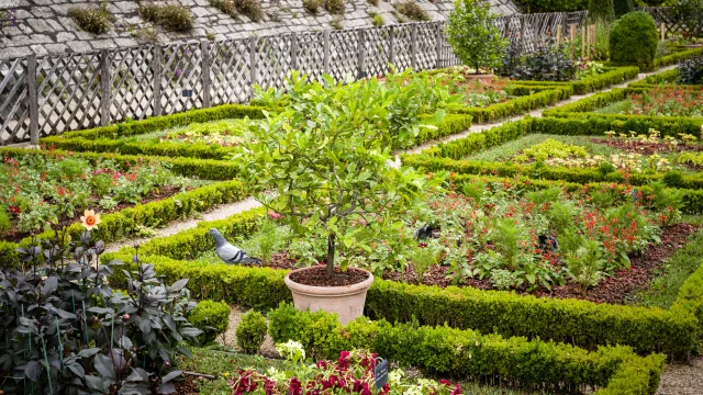 Château de Pau - Jardins renaissance