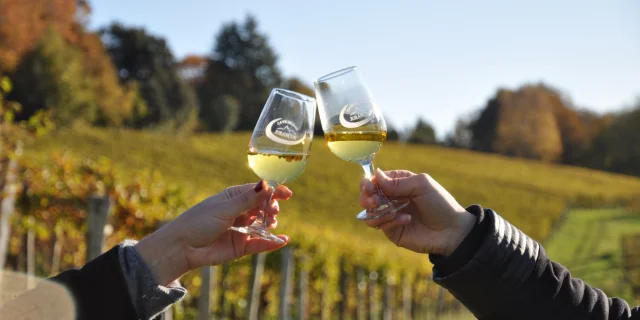 Dégustation de vin de Jurançon