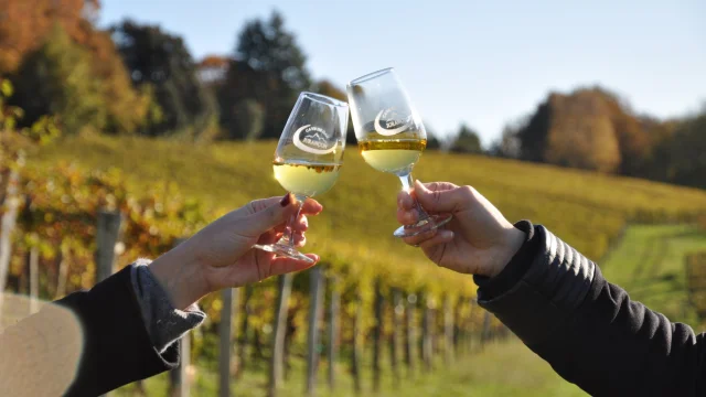 Dégustation de vin de Jurançon