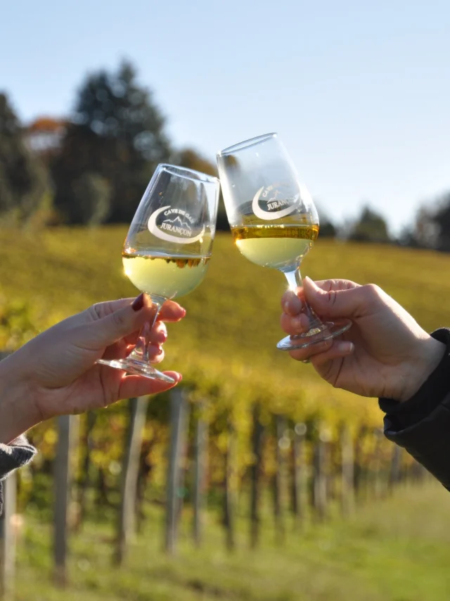 Dégustation de vin de Jurançon