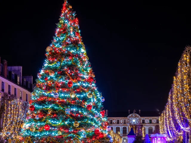 Noël à Pau Village de Noël Le sapin