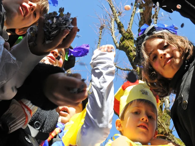 Carnaval Biarnes 03 Ville De Pau